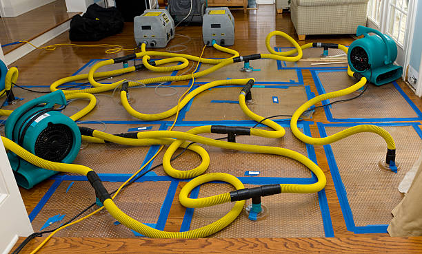 Professional Water Damage Restoration technician working in Forestdale, RI